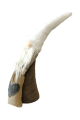 HW2002105-PNG.PNG