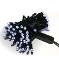 D100LM-W  INTERNET 2023 2.jpg