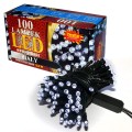 D100LM-W  INTERNET 2023 3.jpg
