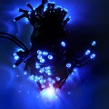 D100LM-B  internet 2023 4.jpg