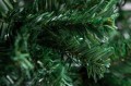 2F7A9366.jpg