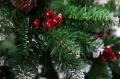 ZBLIŻENIE NA ZIELONE GAŁĄZKI SZTUCZNEJ CHOINKI Z BRĄZOWĄ SZYSZKĄ, CZERWONYMI OZDOBNYMI JAGODAMI I BIAŁYMI AKCENTAMI IMITUJĄCYMI ŚNIEG.